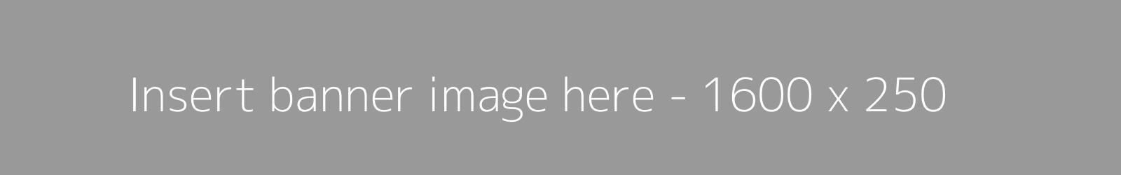 Placeholder 1600X250 Banner